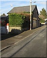 Mostly evergreen hedge, North Street, Abergavenny