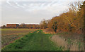 Path on arable field margin, nr Apton Hall Farm, Canewdon