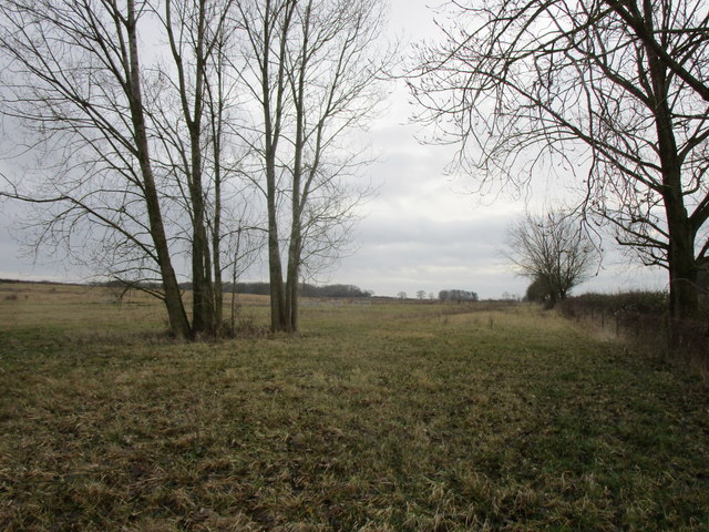 reclaimed-land-jonathan-thacker-geograph-britain-and-ireland