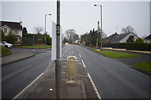 H4772 : Election poster remains on pole along Hospital Road, Omagh by Kenneth  Allen