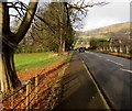 Gap in the fence alongside the A40 Brecon Road, Llanwenarth