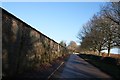 Hall Lane, Buckminster