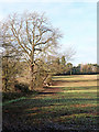 Farmland east of Wombourne in Staffordshire