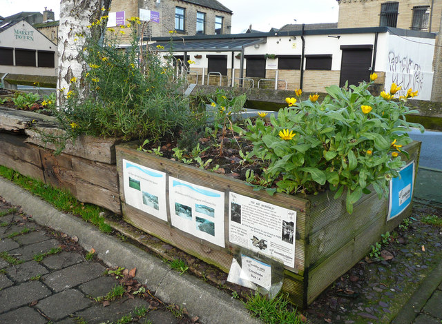 Plant box next to the towpath, Brighouse