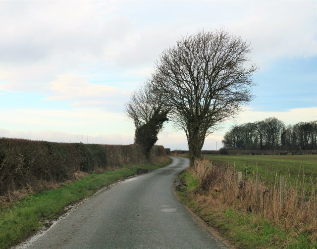 Lane to Gilling West