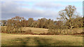 Winter farmland east of Wombourne in Staffordshire