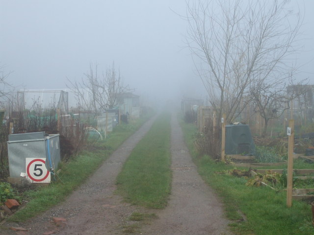 Kennel Lodge allotments