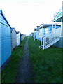 Beach huts at Tankerton Slopes, Whitstable