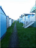 TR1167 : Beach huts at Tankerton Slopes, Whitstable by pam fray
