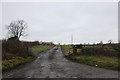 The track to Stockholt Farm, Akeley