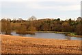 Lake in Skeeby Beck valley