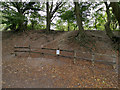 SU4827 : Ramparts of Iron Age Hill Fort on St Catherine's Hill, Winchester by Phil Champion