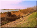 TM0012 : View from the Coast Road, West Mersea by Mr James D