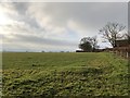 Fields south of Homewoodgate Farm