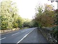 The road through Stella Gill