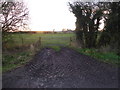 Gateway on Lon Cadney, Bettisfield