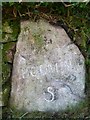 Old Milestone in Higher Penstroda