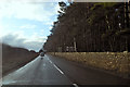 A698 towards Jedburgh