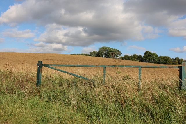 Field by Bogmoor Road near Barkway