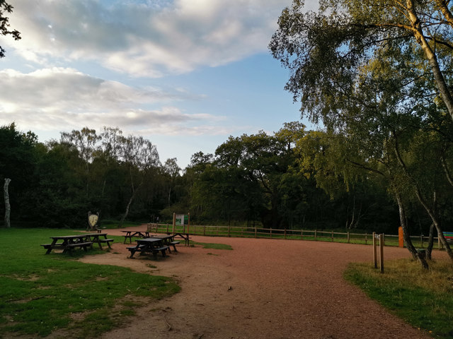 Paths and picnic benches near the Major Oak, Sherwood Forest