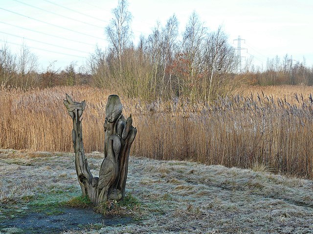 Wood sculpture at Old Moor Nature Reserve