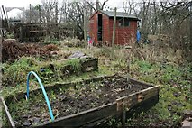 NS5569 : Garscube Allotments, New Year's Day 2020 by Richard Sutcliffe