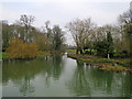 TL4355 : Grantchester millpond on New Year's Day by John Sutton