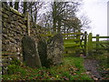 SD7844 : Old squeeze stile and new kissing gate by John H Darch
