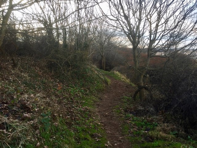 Path, Longniddry Bents