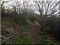 NT4376 : Path, Longniddry Bents by Richard Webb