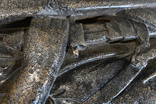 Worcester Cathedral: Effigy of unknown knight (ca. 1240) 3 (detail)