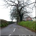 Chardstock Lane, on the edge of Chard