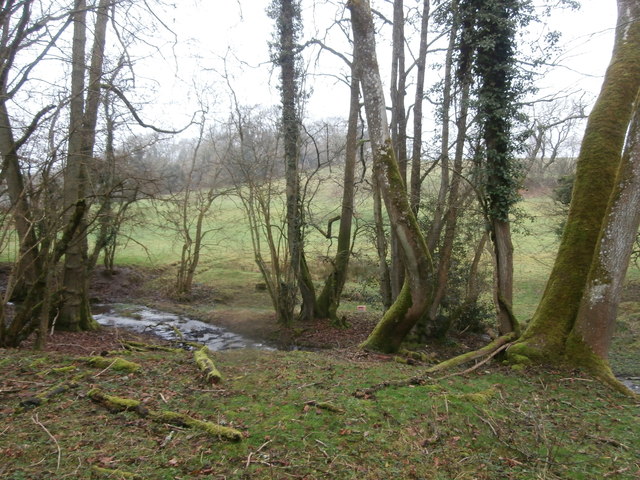 View out of Ledgemore Bottom