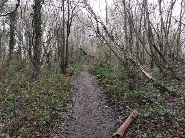 Anston Stones Wood © Stephen Ostler cc-by-sa/2.0 :: Geograph Britain ...