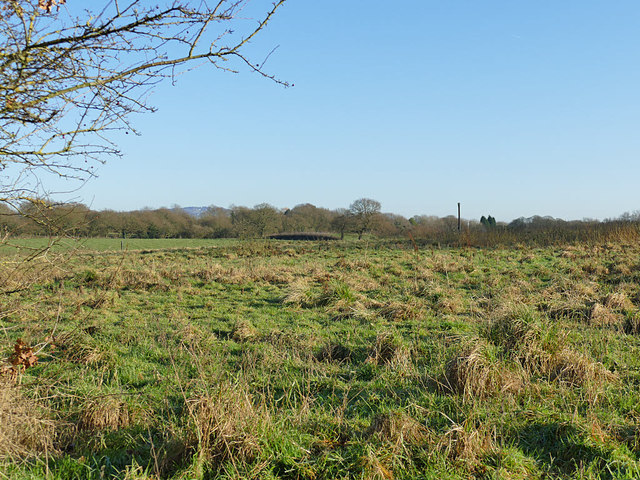 Former landfill site near Alsager © Stephen Craven cc-by-sa/2.0 ...