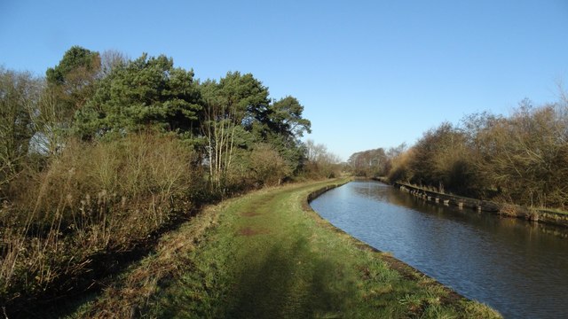 Trent & Mersey Canal, Sandbach, N of Elton Moss Bridge