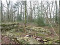 Ruined boathouse by Chard Reservoir 