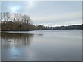 Chard Reservoir from the bird hide looking north