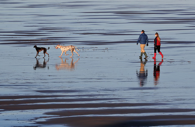 Dog walkers on Spittal Beach at low tide