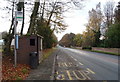 Bus stop and shelter on the A7, Harker