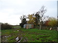 NY4058 : Muddy field and shed, Houghton by JThomas