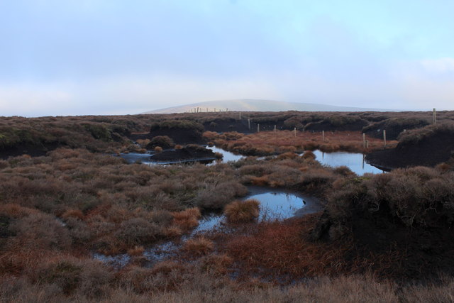 Blanket Bog on Top of Blaze Moss