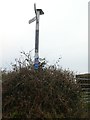 Signpost at Harestone Cross