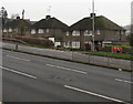 Birds on a south facing roof, Malpas Road, Newport