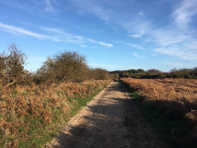 Track on Thorpeness Common