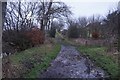 Southern Upland Way towards Gateside Bank