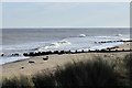 TG4624 : Horsey Gap Beach: Grey seals 3 by Michael Garlick