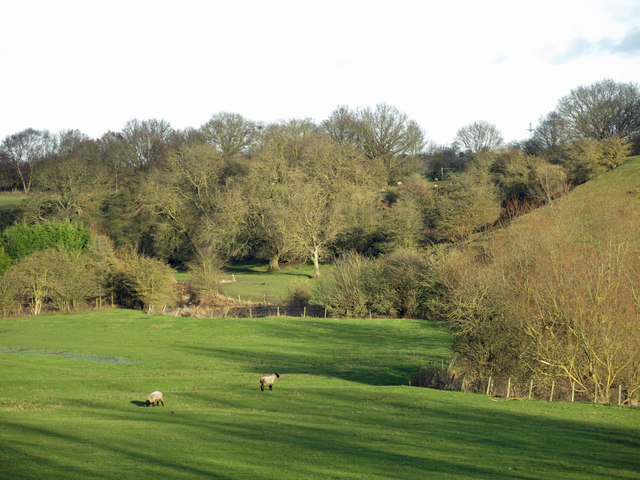 Farmland and woodland by the River Skerne
