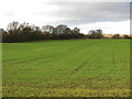 Farmland north of Ketton Lane