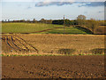 Farmland south of East Ketton